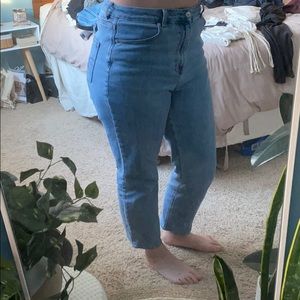 AE Curvy Mom Jean